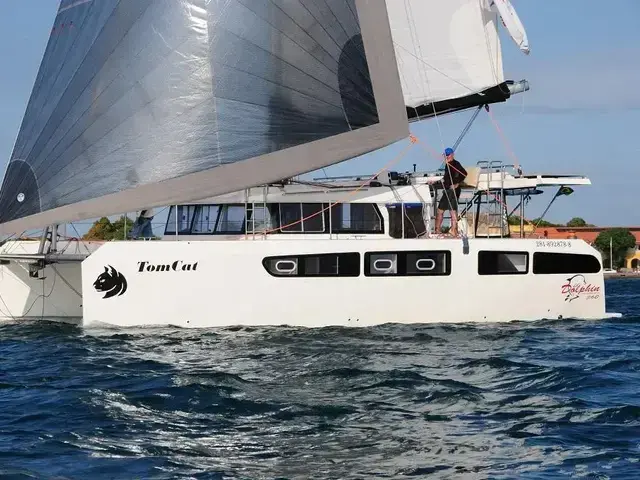 Dolphin 380