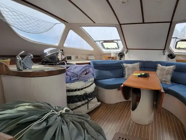 Catana 411