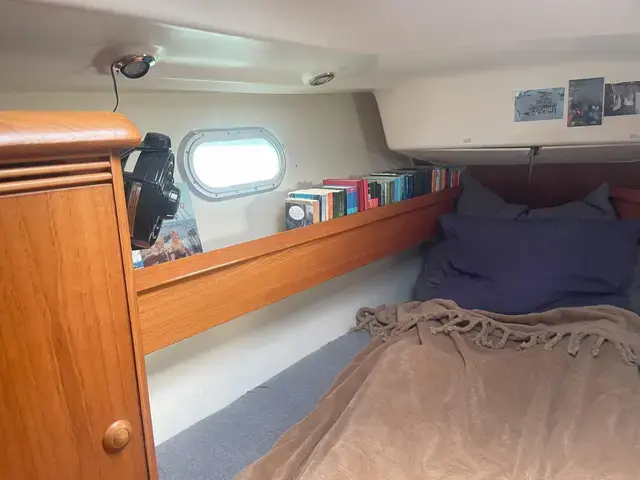 Jeanneau Sun Odyssey 43