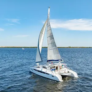 2005 Dolphin 460