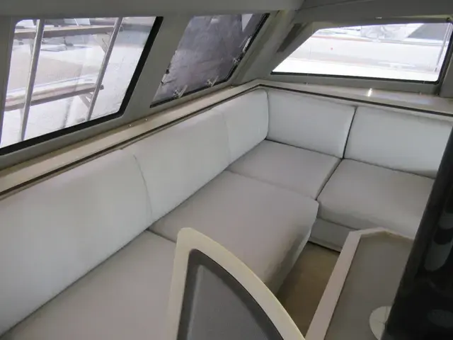 Catana OC 50