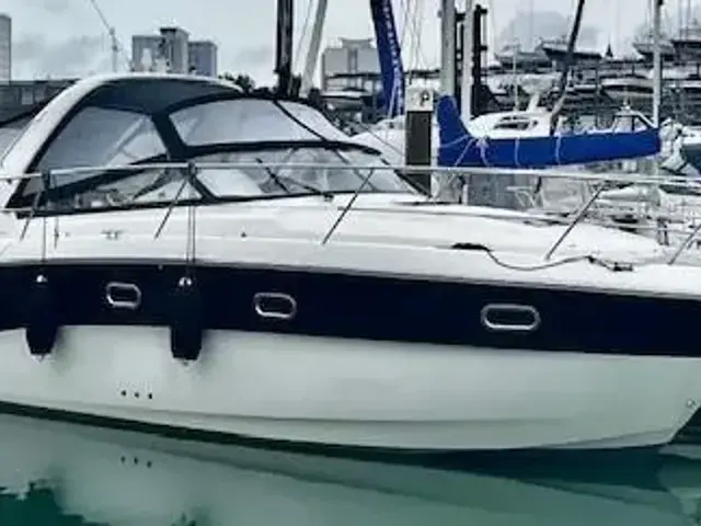 Bavaria Sport 31