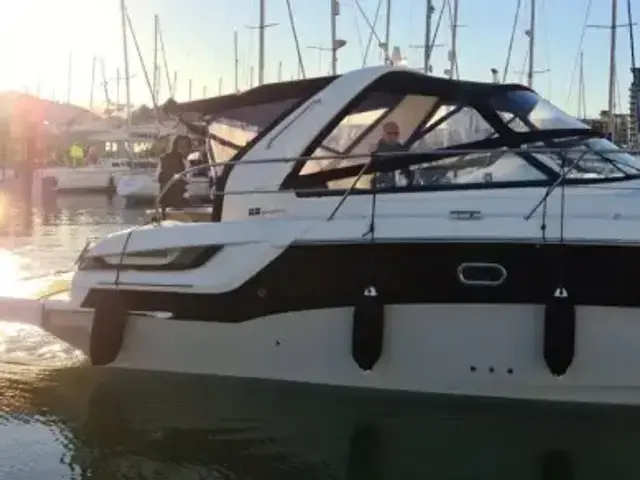 Bavaria Sport 31