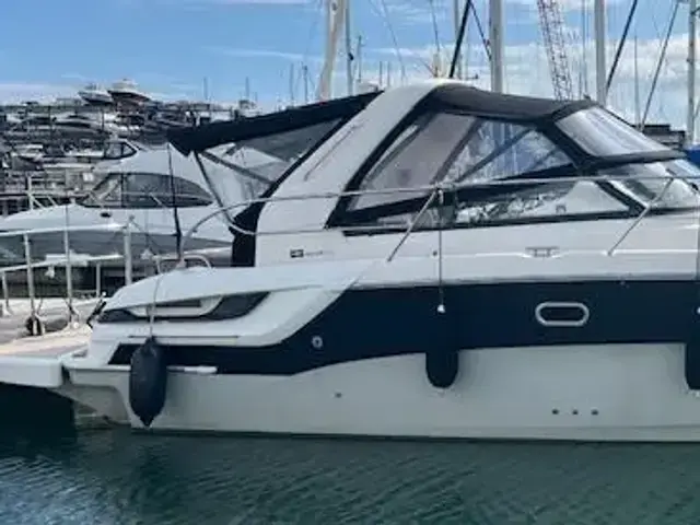 Bavaria Sport 31