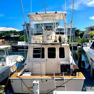 1992 Luhrs 350 Tournement