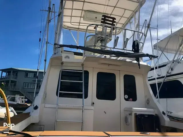 Luhrs 350 Tournement