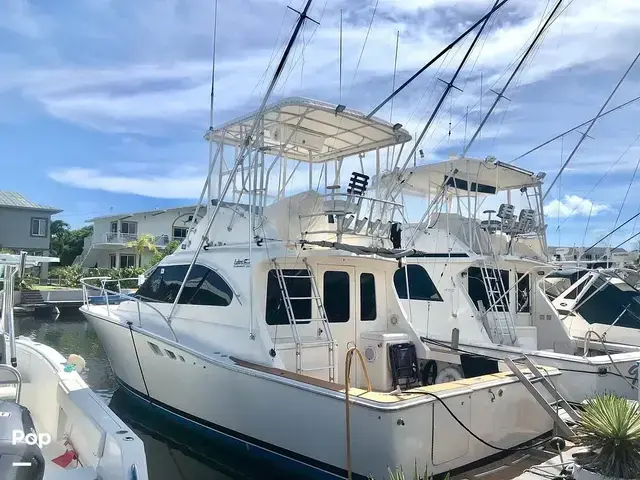 Luhrs 350 Tournement