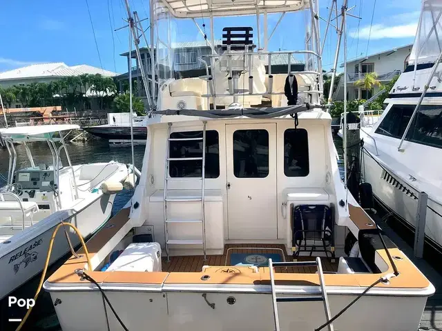 Luhrs 350 Tournement