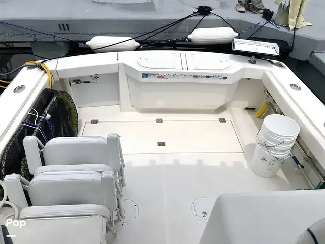 Rampage 30 Offshore Express