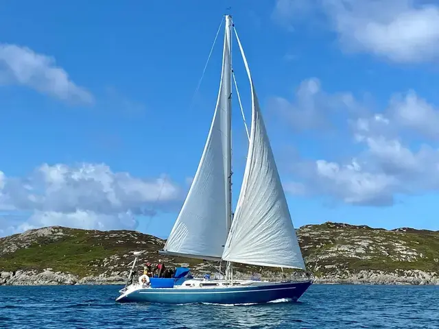 Sirena 40