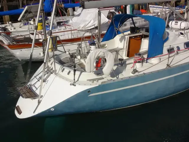 Sirena 40