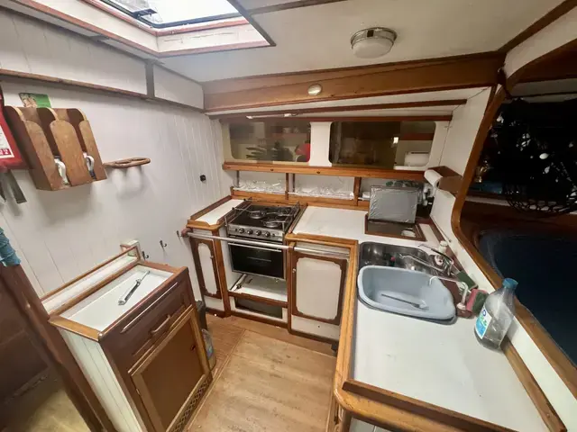 GITANA 43