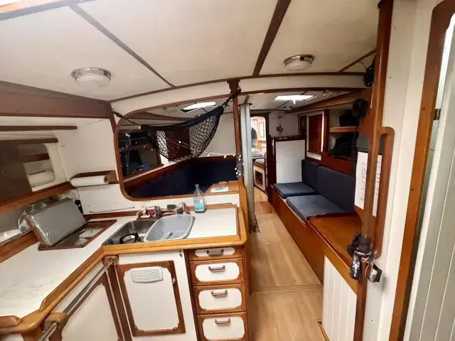 GITANA 43