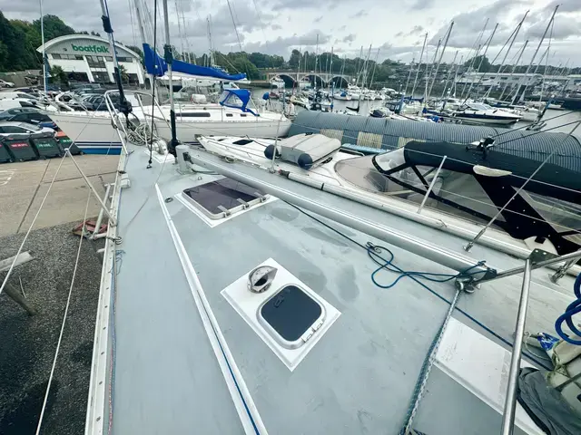 GITANA 43