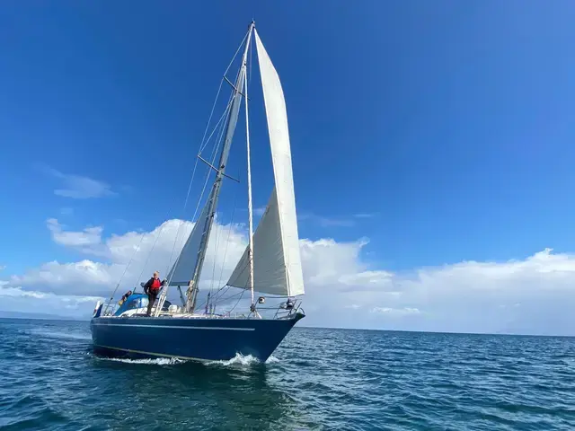 Sirena 40