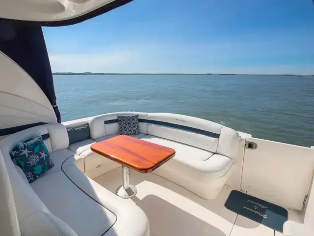 Sea Ray Sundancer 390