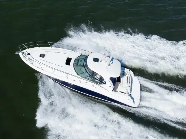 Sea Ray Sundancer 390