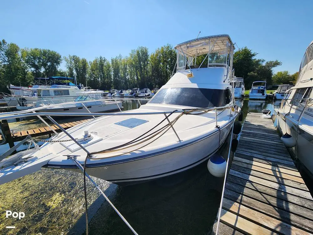 1992 Luhrs 350 tournament