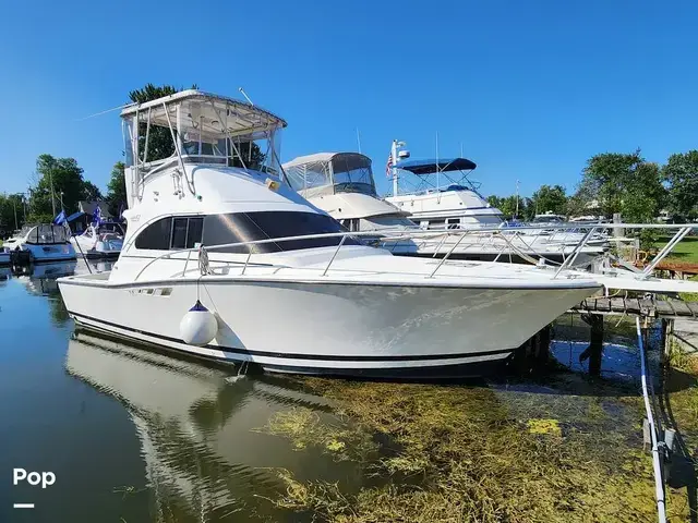 Luhrs Tournament 350