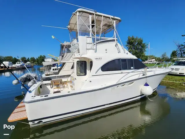 Luhrs Tournament 350