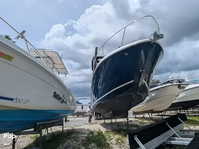 Sea Ray Sundancer 330