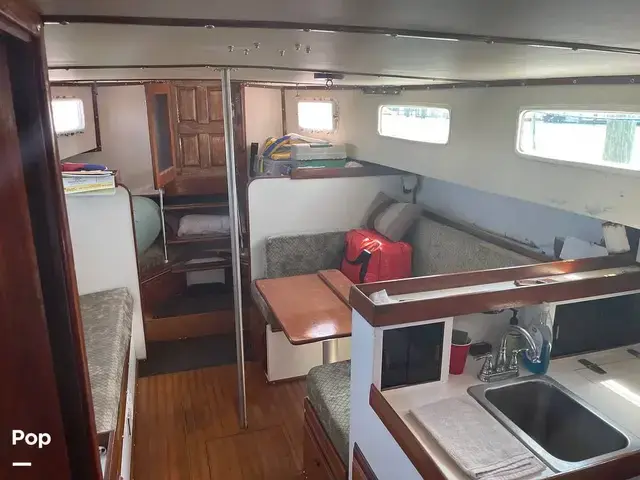 Fales Navigator 38