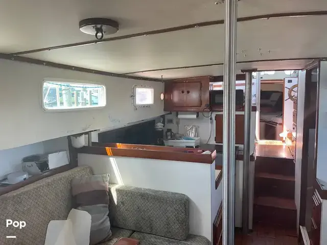 Fales Navigator 38