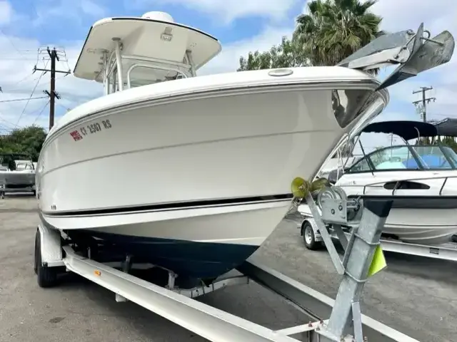 Robalo 240