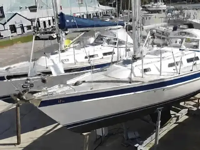 Hallberg-Rassy 34