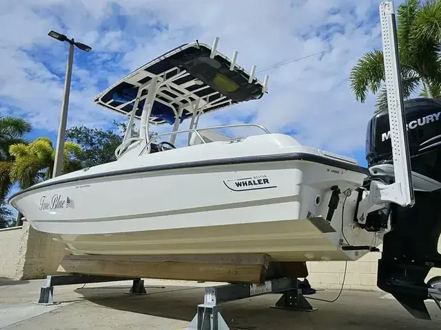 Boston Whaler 240 Dauntless