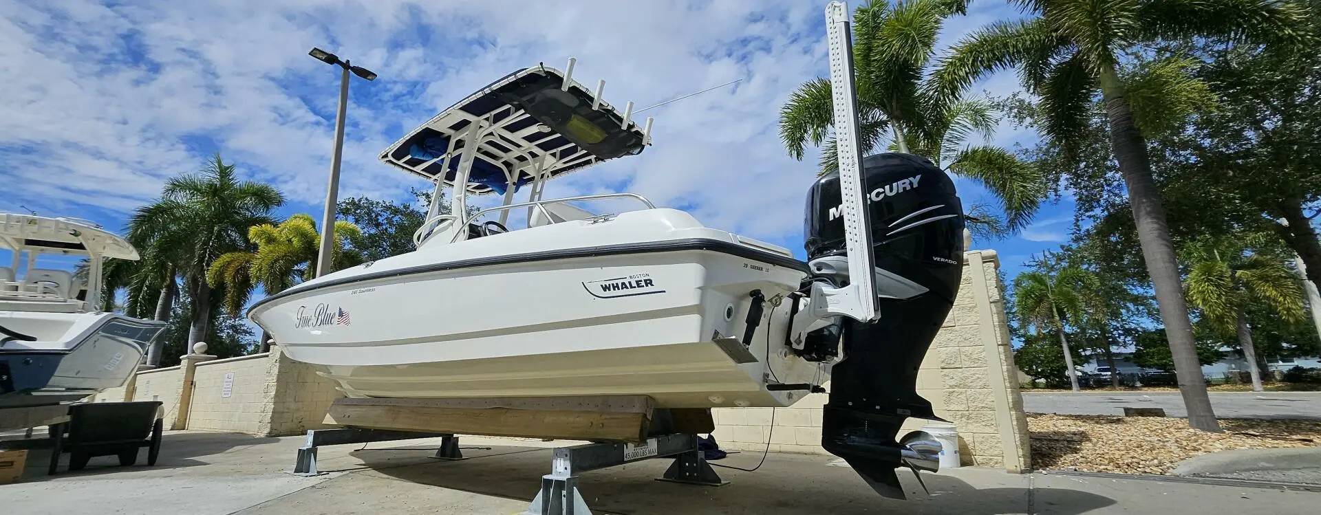 2016 Boston Whaler 240 dauntless