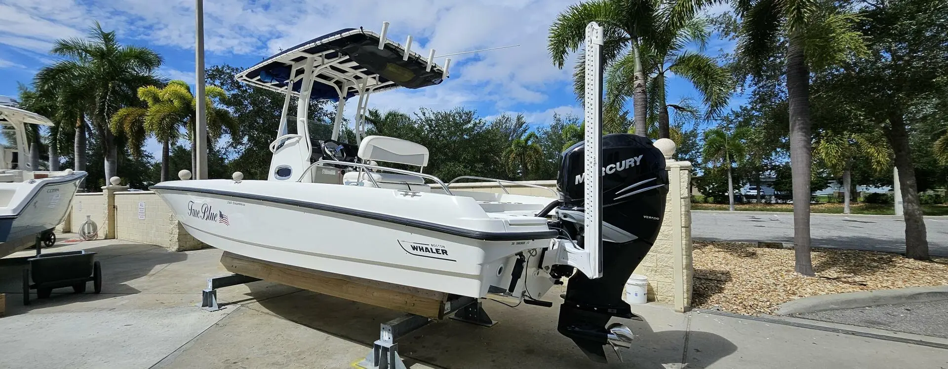 2016 Boston Whaler 240 dauntless