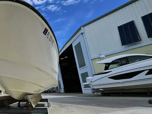 Boston Whaler 240 Dauntless