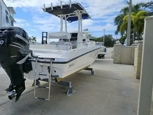 Boston Whaler 240 Dauntless