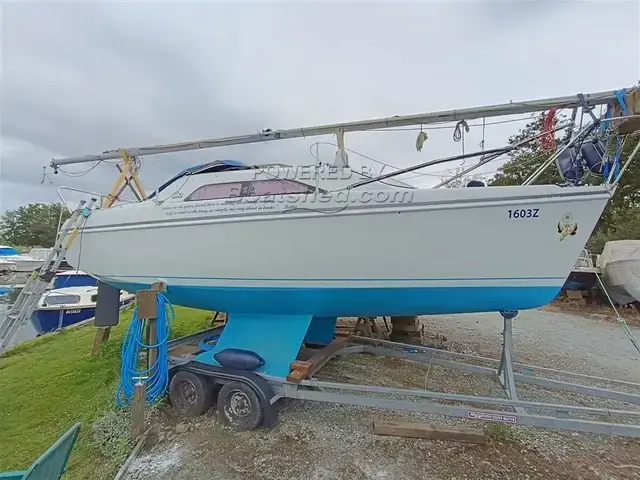 Hunter Ranger 245