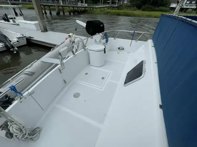 Defever 40 Offshore Cruiser