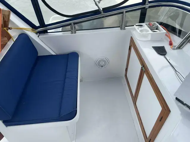 Defever 40 Offshore Cruiser