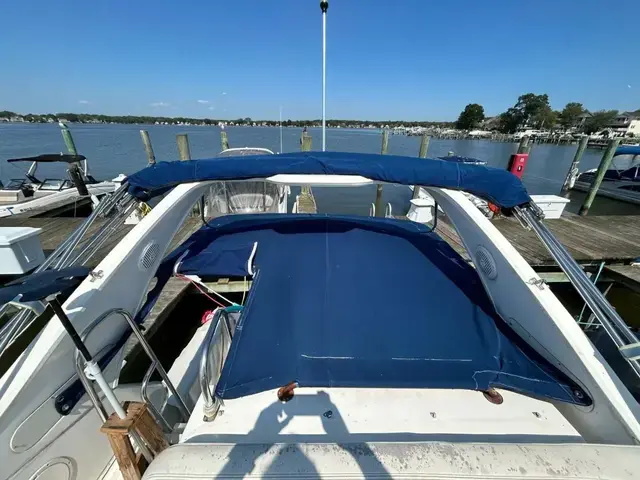 Bayliner 288 Discovery