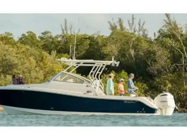 Edgewater boats 280cx