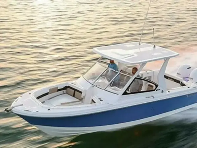 Edgewater boats 262CX