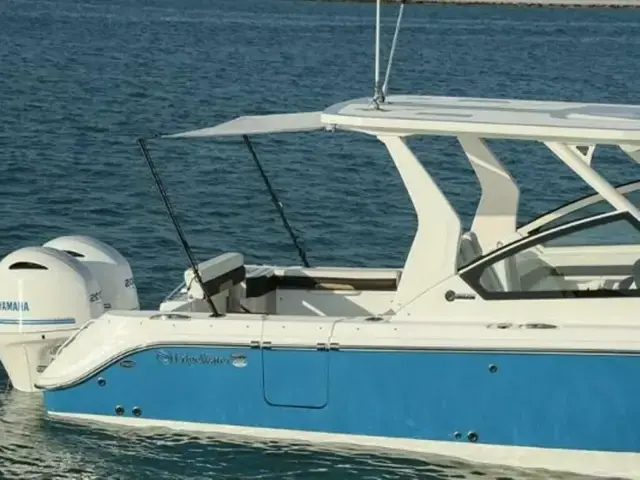 Edgewater boats 262CX