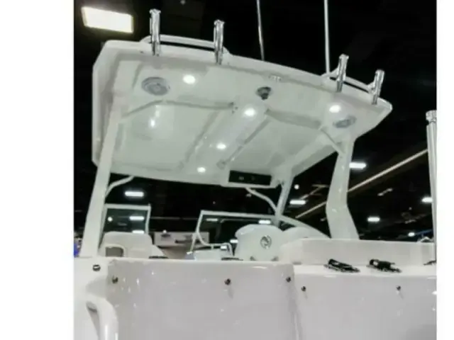 Edgewater boats 262CX