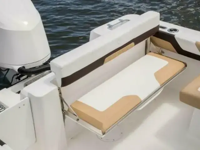 Edgewater boats 248CX