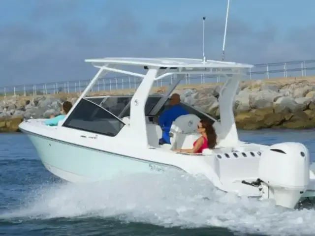 Edgewater boats 230CX