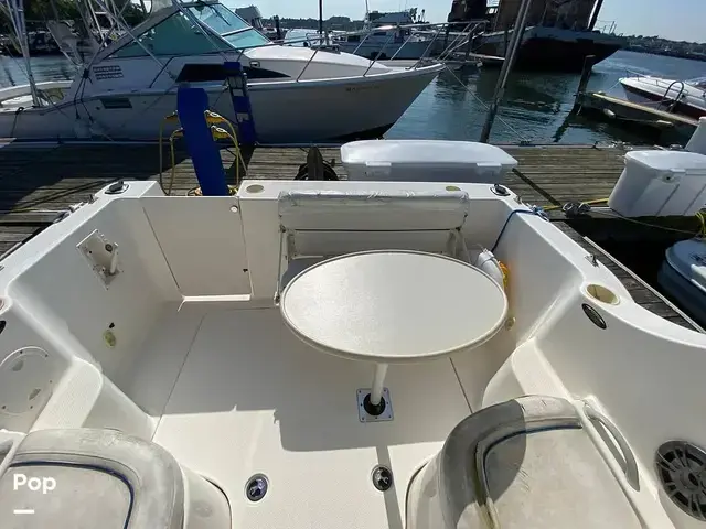 Bayliner Discovery 246