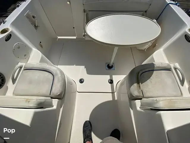 Bayliner Discovery 246