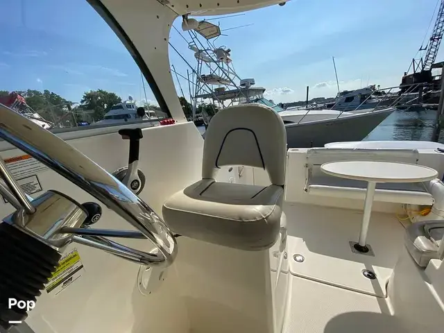 Bayliner Discovery 246