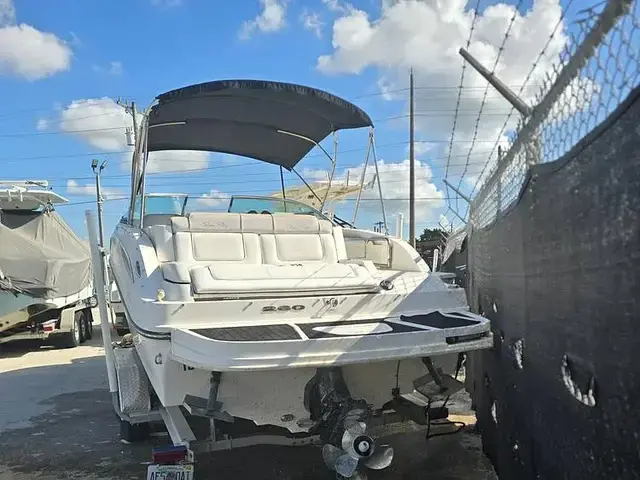 Sea Ray 260 Sundeck