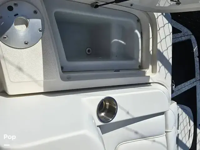 Sea Ray 260 Sundeck