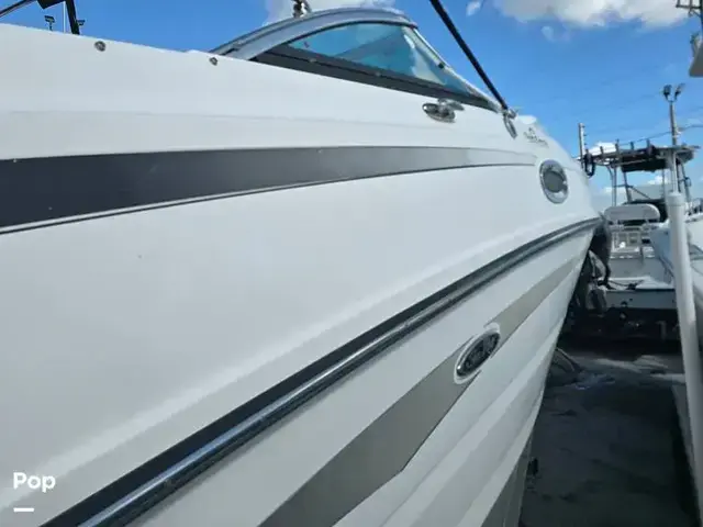 Sea Ray 260 Sundeck